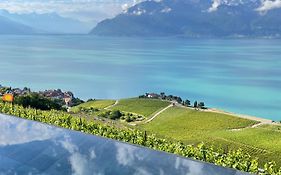 Baron Tavernier Hotel Restaurant&SPA